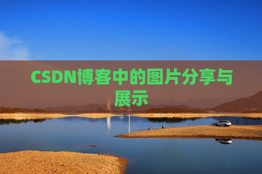 CSDN博客中的图片分享与展示